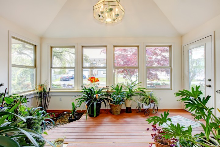 Garage transformed into sunlit indoor garden with potted plants
